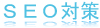 seoicon.jpg